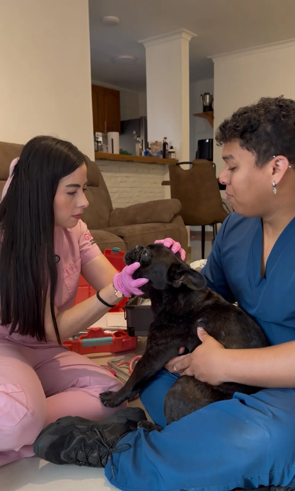 María Valentina, médica veterinaria, atendiendo a un perro en un hogar de Medellín