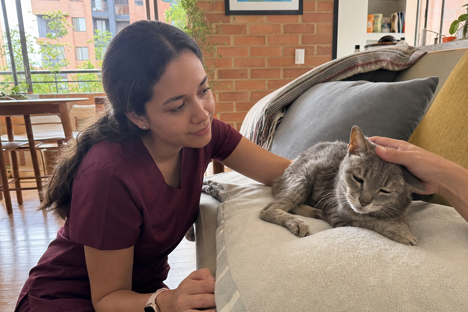 Médica veterinaria acompañando a un gato mayor y enfermo en un hogar de Medellín